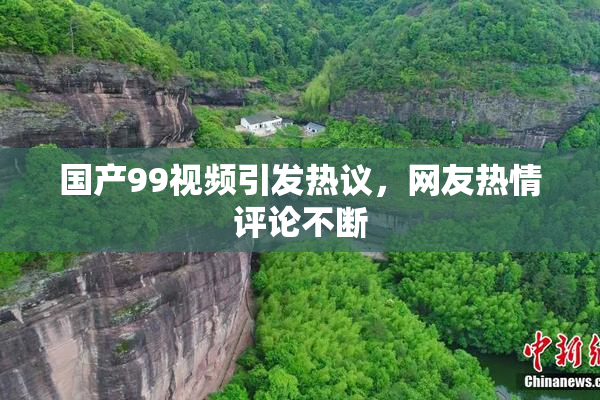 国产99视频引发热议，网友热情评论不断
