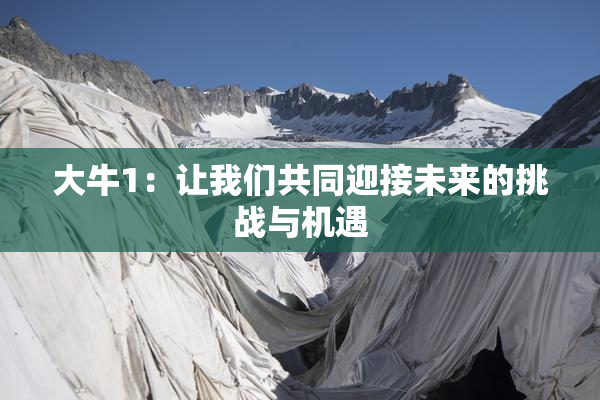 大牛1：让我们共同迎接未来的挑战与机遇