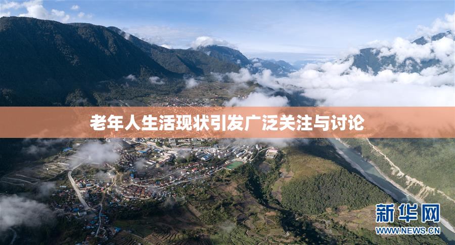 老年人生活现状引发广泛关注与讨论