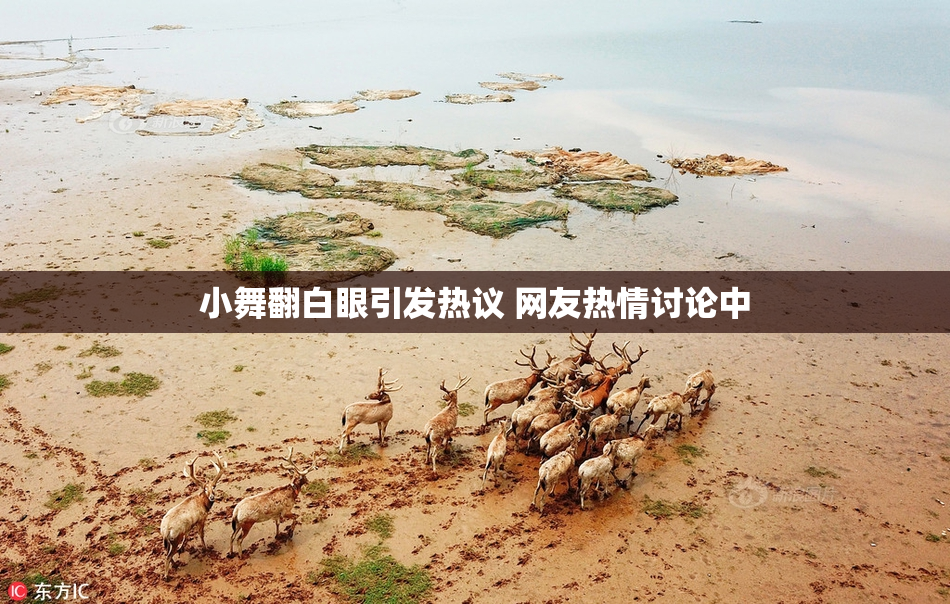 小舞翻白眼引发热议 网友热情讨论中