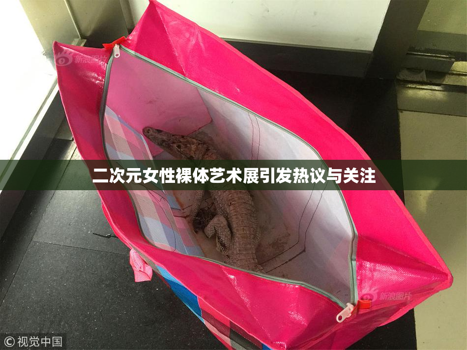 二次元女性裸体艺术展引发热议与关注