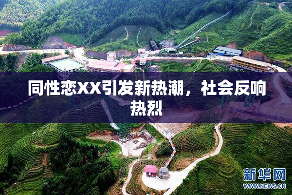 同性恋XX引发新热潮，社会反响热烈