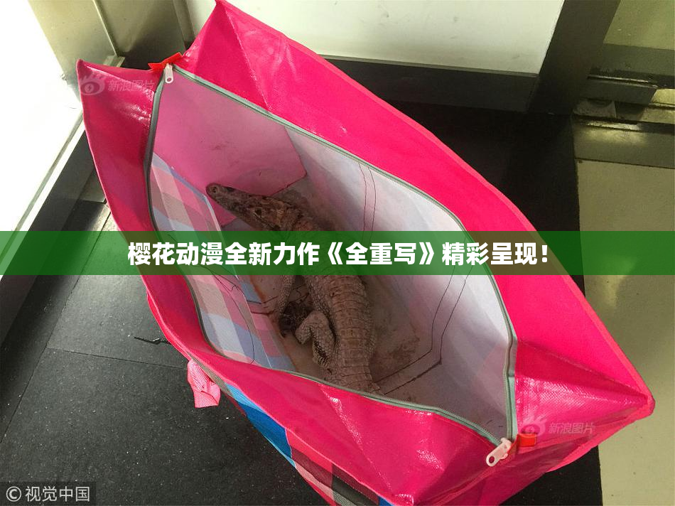 樱花动漫全新力作《全重写》精彩呈现！