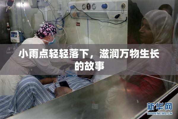 小雨点轻轻落下，滋润万物生长的故事