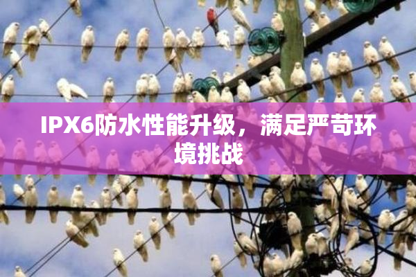 IPX6防水性能升级，满足严苛环境挑战