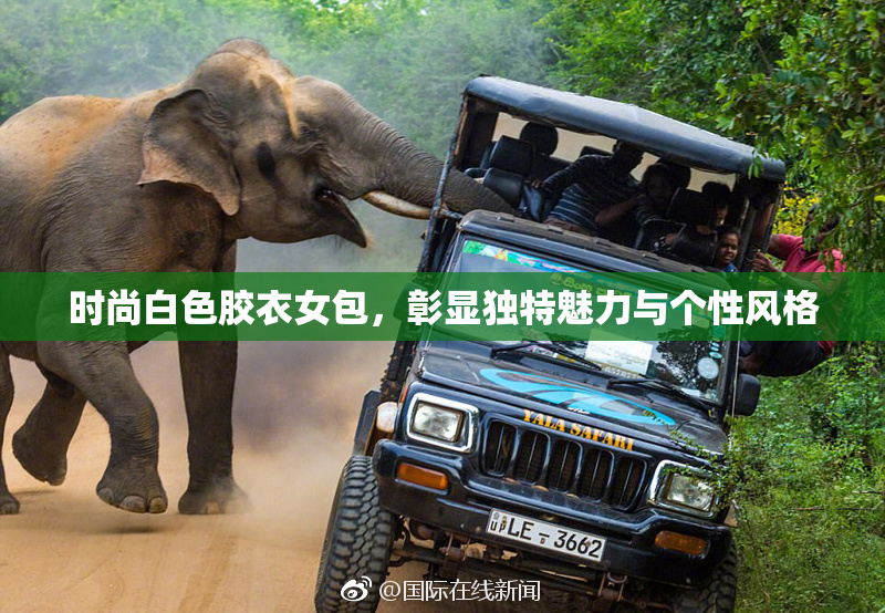 时尚白色胶衣女包，彰显独特魅力与个性风格