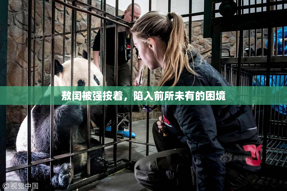 敖闰被强按着，陷入前所未有的困境