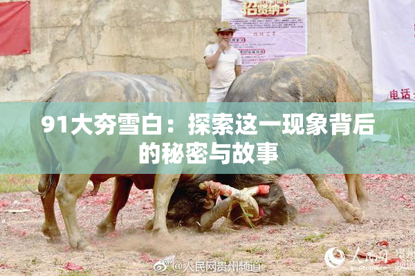 91大夯雪白：探索这一现象背后的秘密与故事