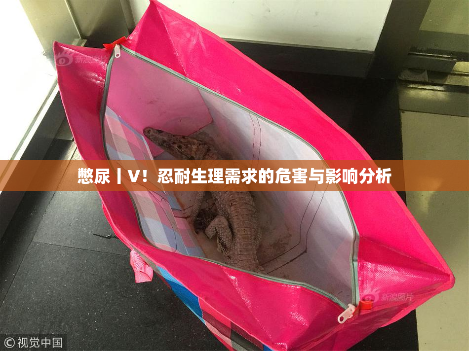 憋尿丨V！忍耐生理需求的危害与影响分析