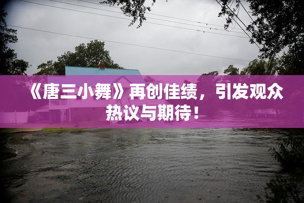 《唐三小舞》再创佳绩，引发观众热议与期待！