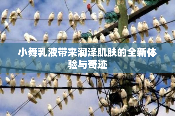 小舞乳液带来润泽肌肤的全新体验与奇迹