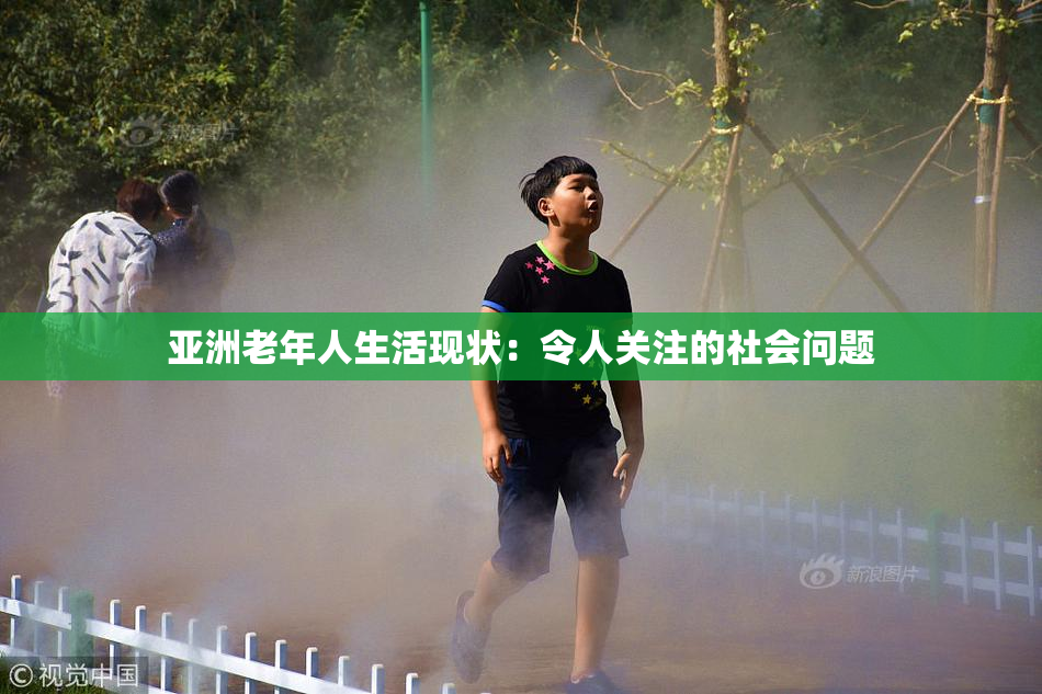 亚洲老年人生活现状：令人关注的社会问题