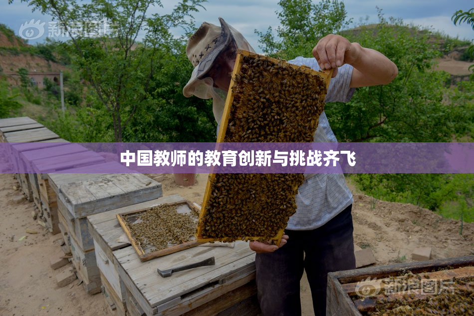 中国教师的教育创新与挑战齐飞
