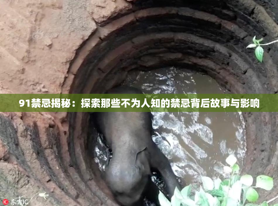91禁忌揭秘：探索那些不为人知的禁忌背后故事与影响