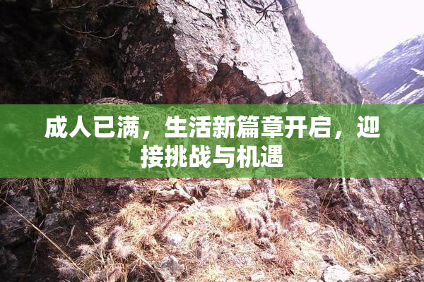 成人已满，生活新篇章开启，迎接挑战与机遇