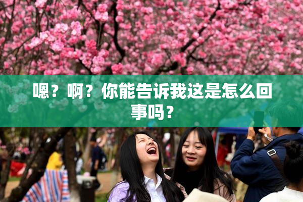 嗯？啊？你能告诉我这是怎么回事吗？