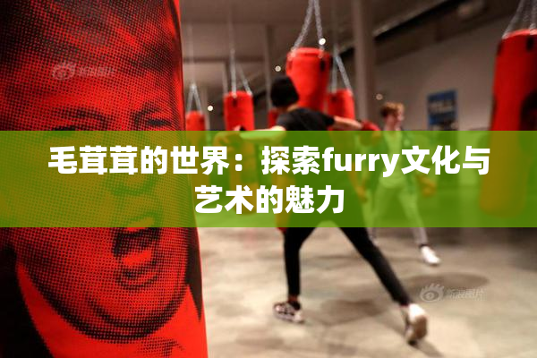 毛茸茸的世界：探索furry文化与艺术的魅力