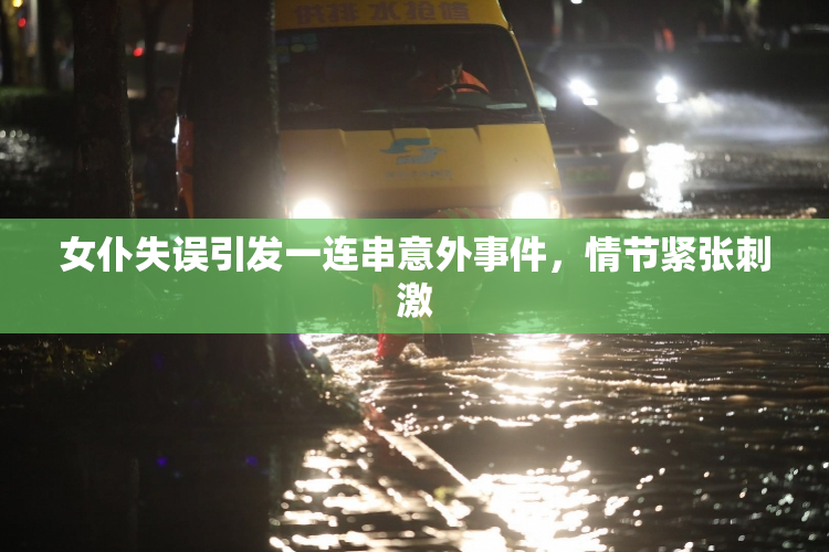 女仆失误引发一连串意外事件，情节紧张刺激