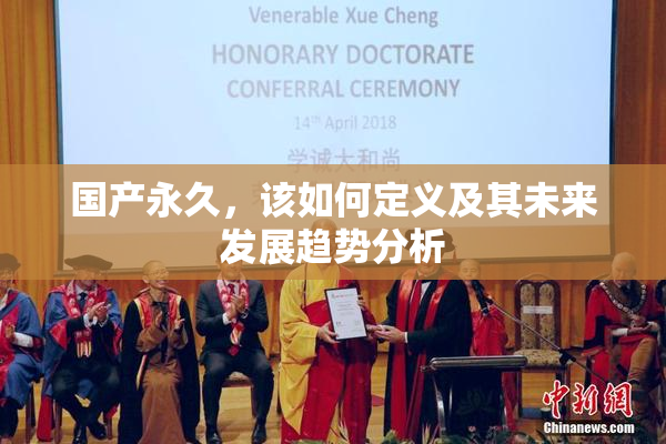 国产永久，该如何定义及其未来发展趋势分析