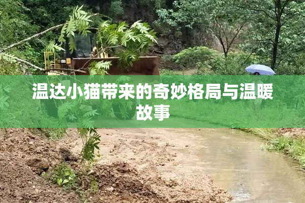 温达小猫带来的奇妙格局与温暖故事