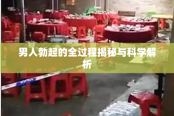 男人勃起的全过程揭秘与科学解析