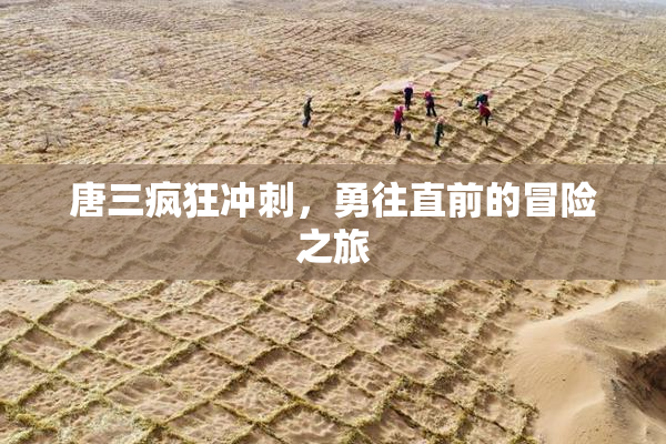 唐三疯狂冲刺，勇往直前的冒险之旅