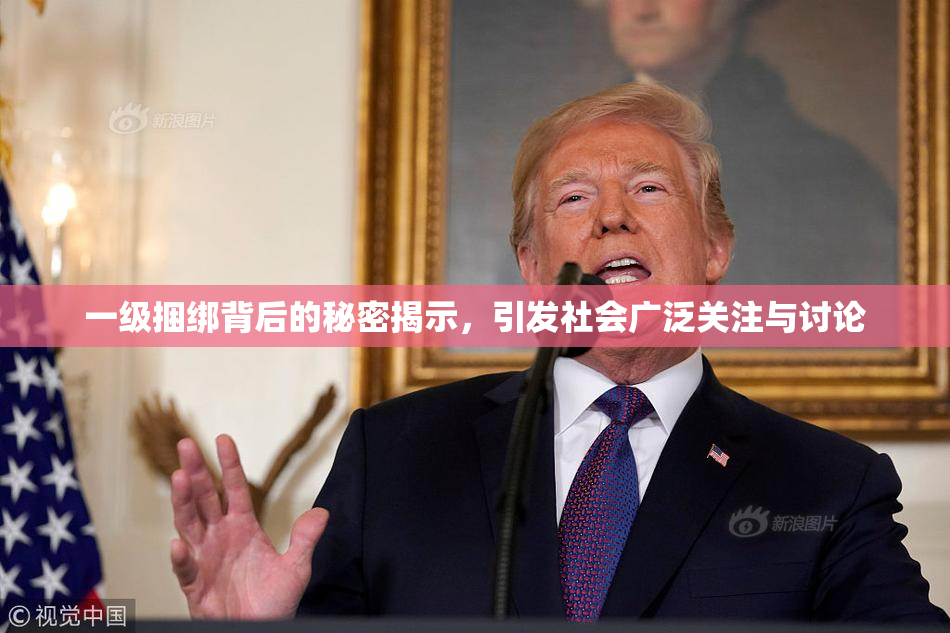一级捆绑背后的秘密揭示，引发社会广泛关注与讨论