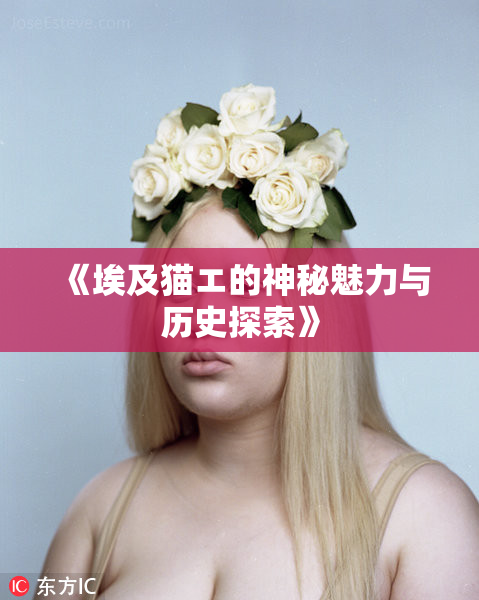 《埃及猫エ的神秘魅力与历史探索》