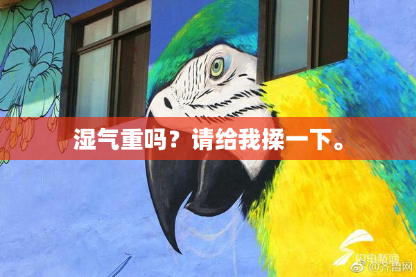 湿气重吗？请给我揉一下。