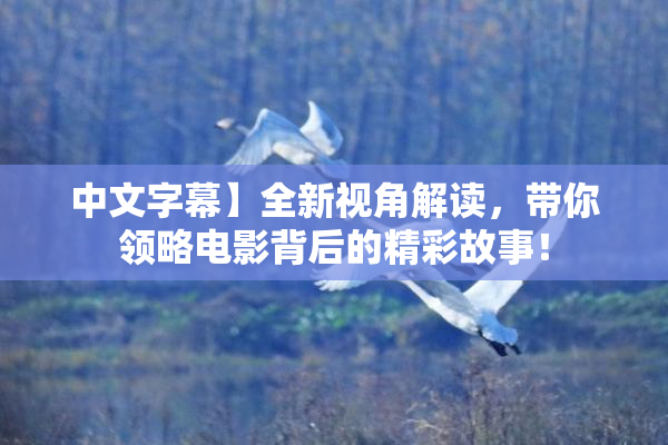 中文字幕】全新视角解读，带你领略电影背后的精彩故事！