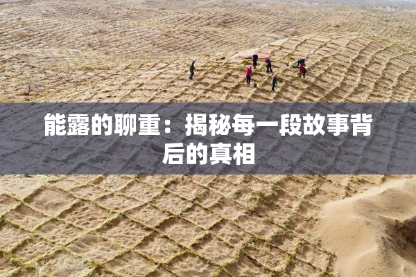 能露的聊重：揭秘每一段故事背后的真相