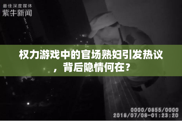权力游戏中的官场熟妇引发热议，背后隐情何在？