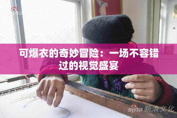 可爆衣的奇妙冒险：一场不容错过的视觉盛宴