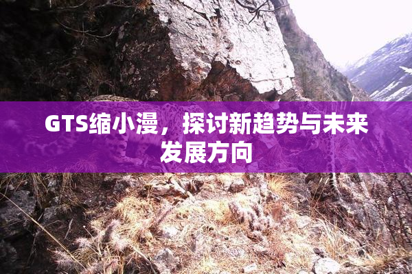 GTS缩小漫，探讨新趋势与未来发展方向