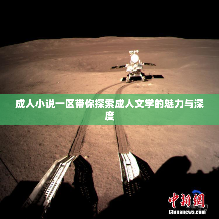 成人小说一区带你探索成人文学的魅力与深度