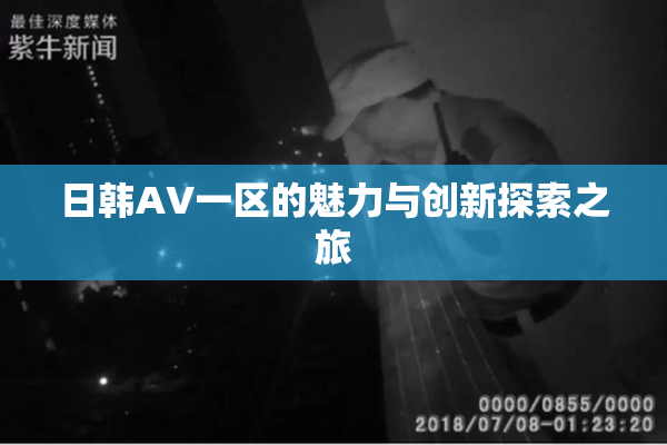 日韩AV一区的魅力与创新探索之旅