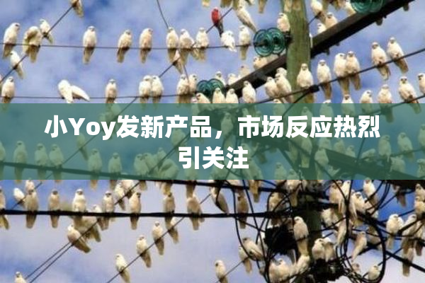 小Yoy发新产品，市场反应热烈引关注