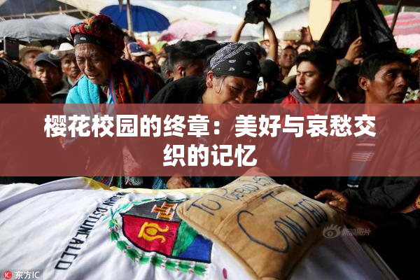 樱花校园的终章：美好与哀愁交织的记忆