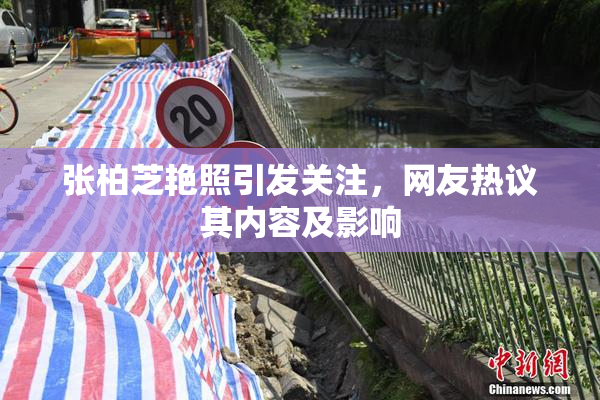 张柏芝艳照引发关注，网友热议其内容及影响