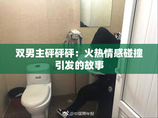 双男主砰砰砰：火热情感碰撞引发的故事