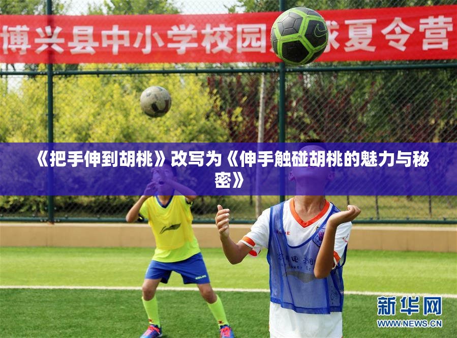 《把手伸到胡桃》改写为《伸手触碰胡桃的魅力与秘密》