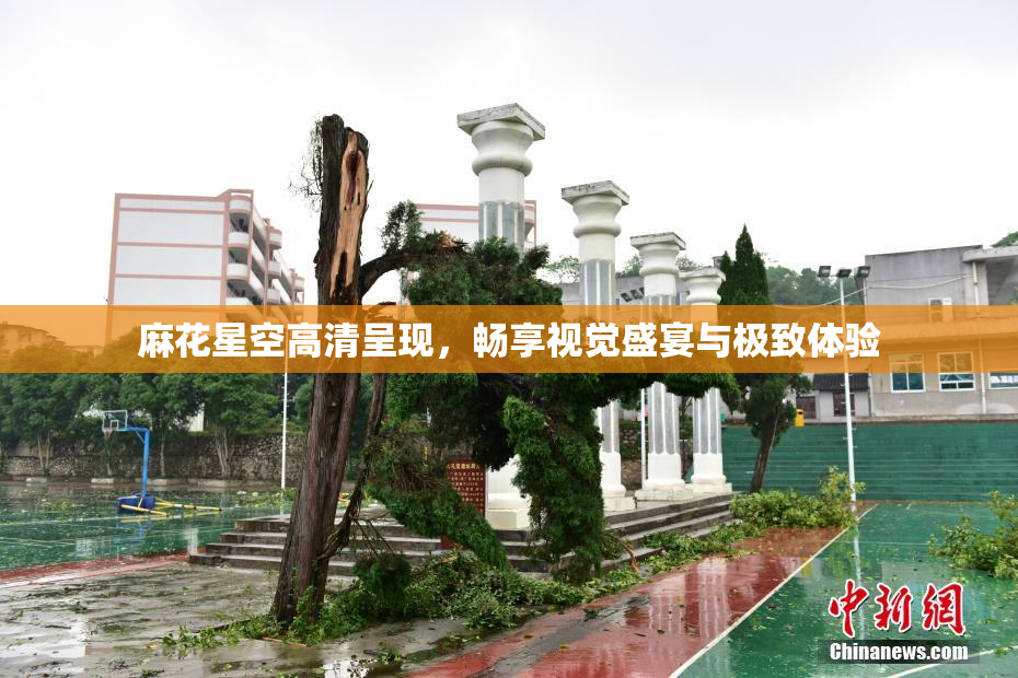 麻花星空高清呈现，畅享视觉盛宴与极致体验