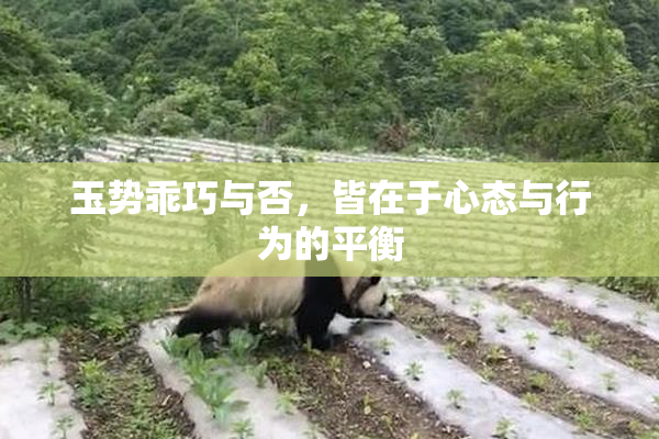 玉势乖巧与否，皆在于心态与行为的平衡