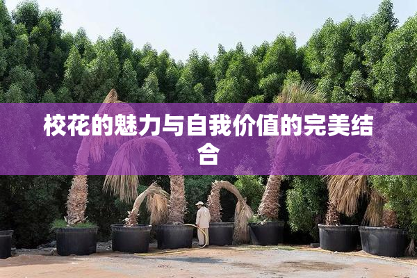 校花的魅力与自我价值的完美结合