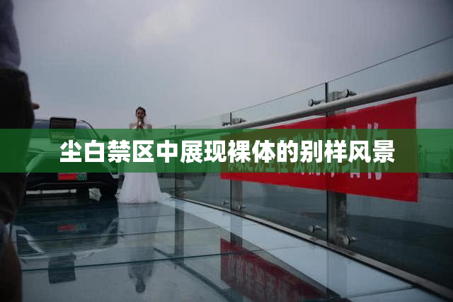 尘白禁区中展现裸体的别样风景