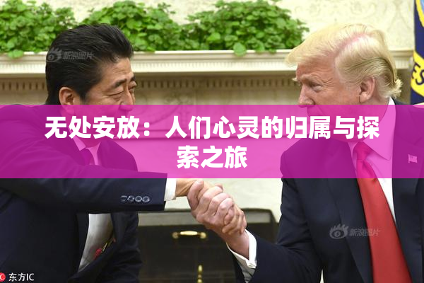 无处安放：人们心灵的归属与探索之旅