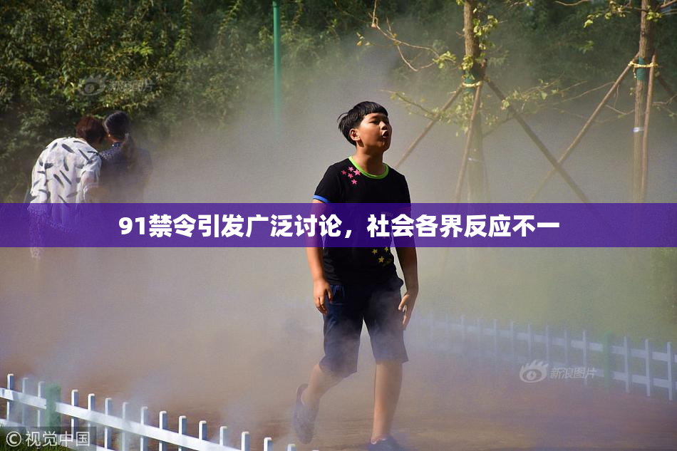 91禁令引发广泛讨论，社会各界反应不一