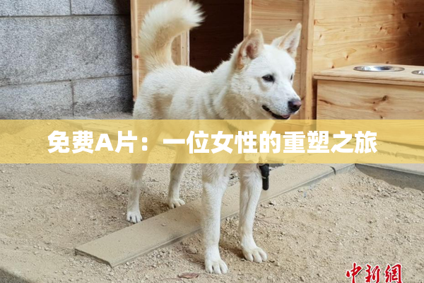免费A片：一位女性的重塑之旅