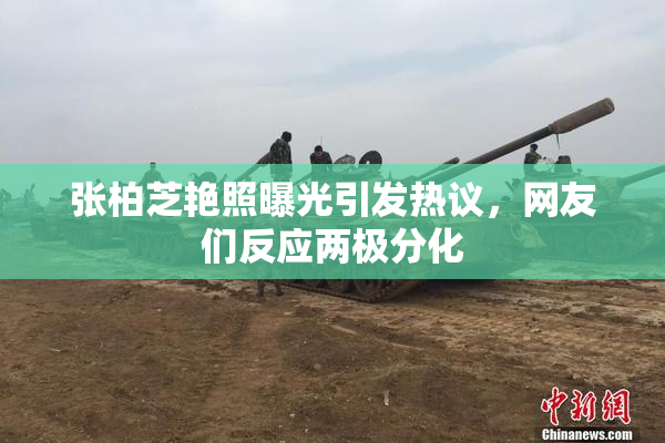 张柏芝艳照曝光引发热议，网友们反应两极分化