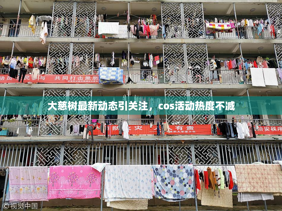 大慈树最新动态引关注，cos活动热度不减